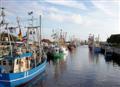 http://dreessen-online.info